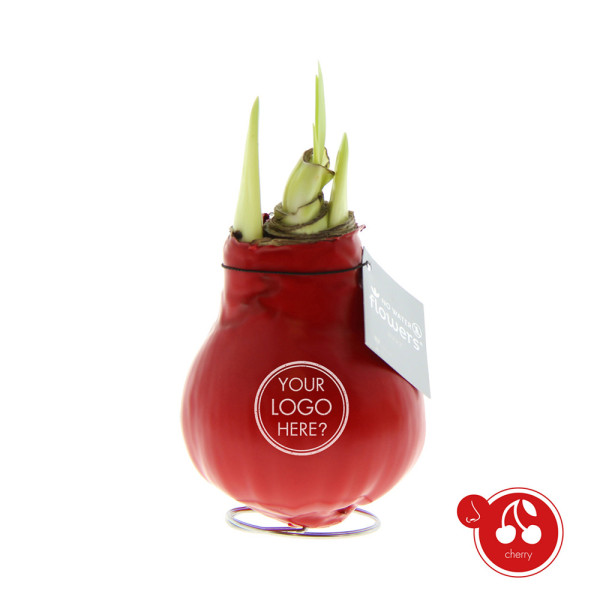 No Water Flowers® - Parfumz