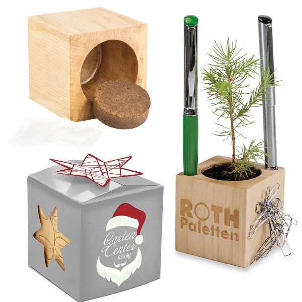 Houten pennenbakje star-box Xmas