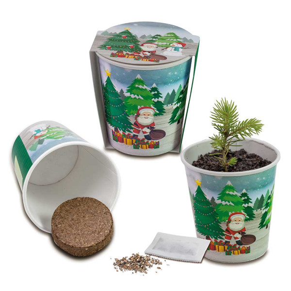 Kerstboom om mee te nemen