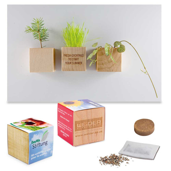 Houten plantenset magneet met zaden