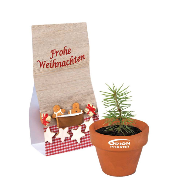 Mini bloempotje met zaden