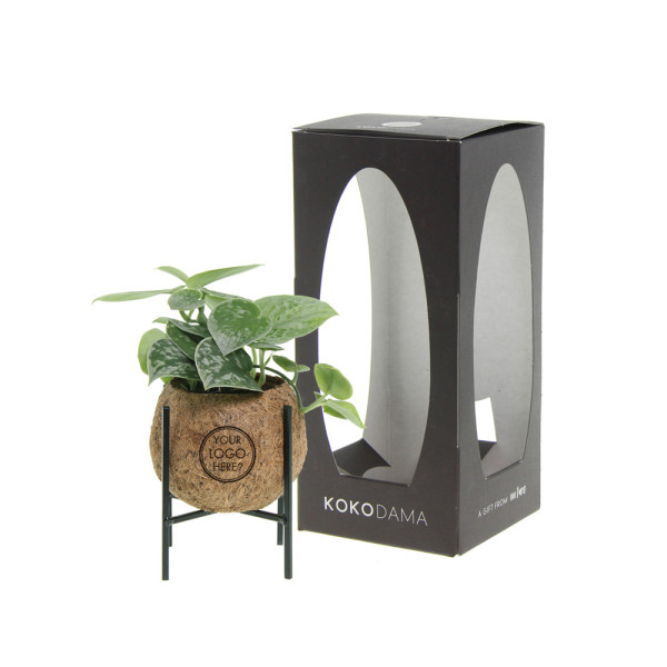 Kokodama® - Industrial green mix (S)