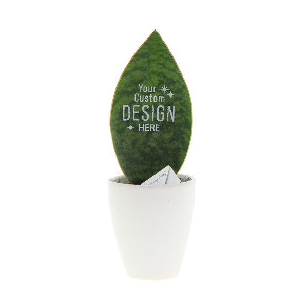 Message Printz® - Baby Leaf in giftbox