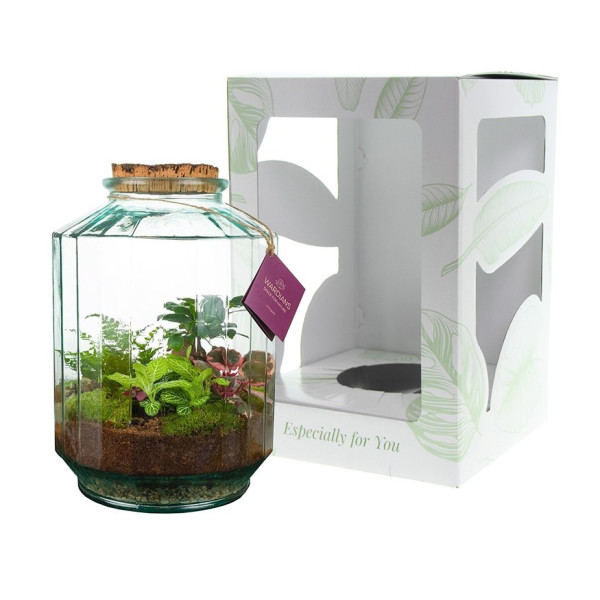 Wardians® Ecosystem - Stripe large