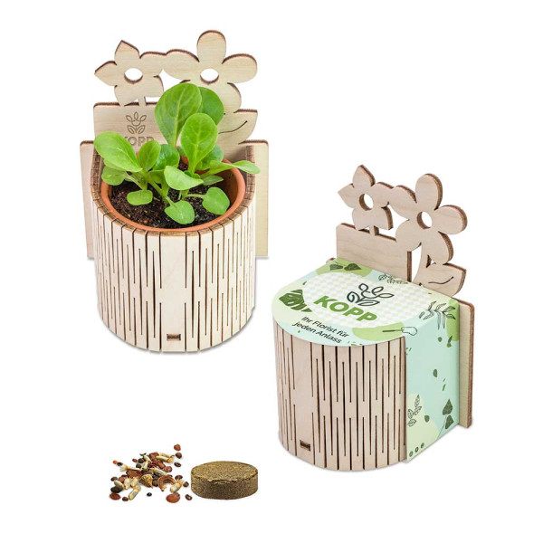 Mijn kleine tuin - Bloemen