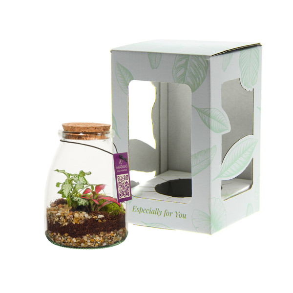 Wardians® Ecosystem - Bottle small