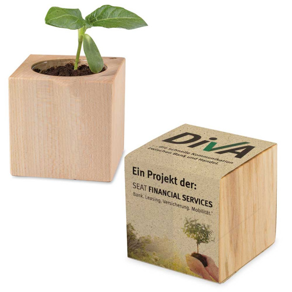 Plantenhout met zaden (papieren band van graspapier)