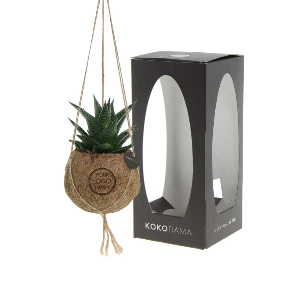 Kokodama® - Easy care mix (S)