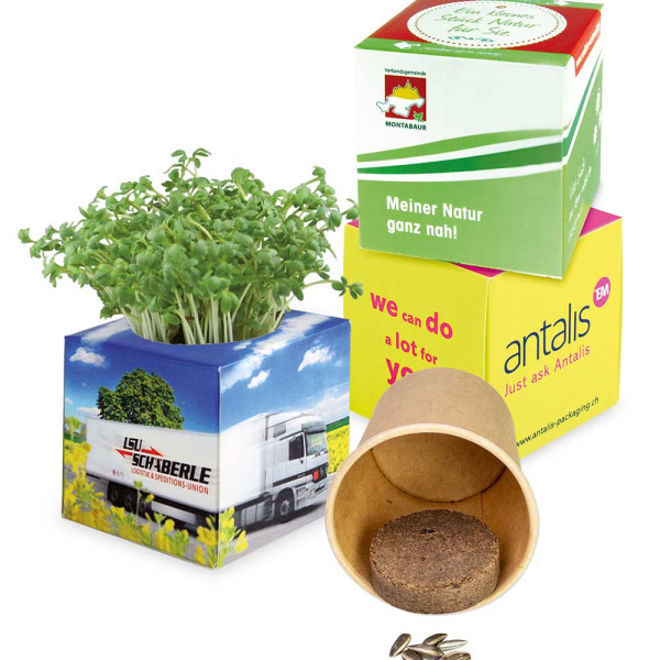 Plant-kubus 2.0 met zaden